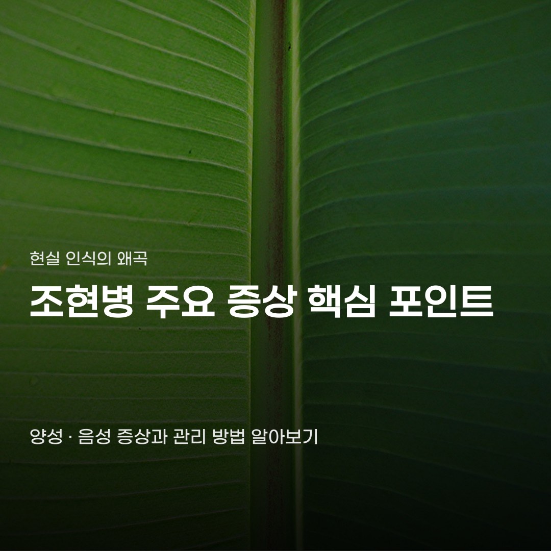 조현병 증상 확인부터 진료와 입원 판단까지의 과정